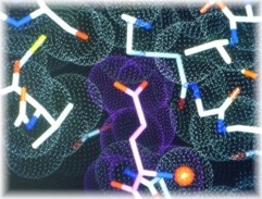 Structure_asymmetric_synthesis